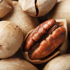 Premium Pecan Nuts – Buttery, Crunchy & Antioxidant-Rich Delight